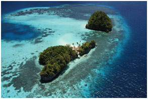 スリーココナッツアイランド