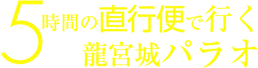 時間の直行便で行く龍宮城パラオ